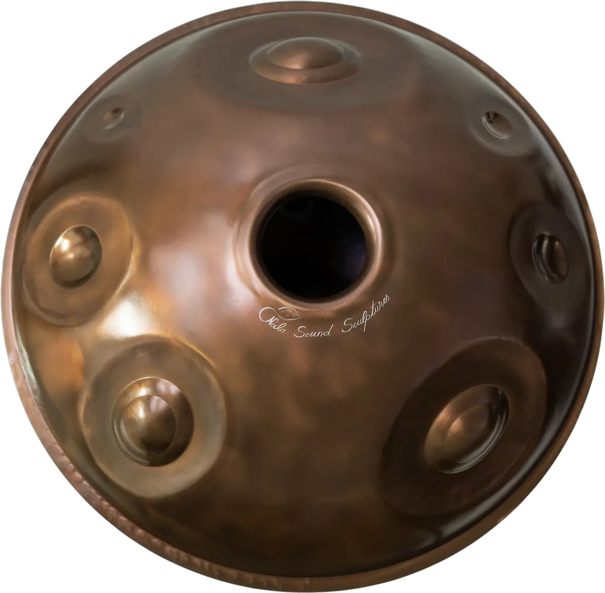 D Aegean 17+1 — bottom view